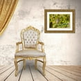 thumbnail image 3 of Day, Richard and Susan 24x17 Gold Ornate Wood Framed with Double Matting Museum Art Print Titled - Ruby-throated hummingbird at American pokeweed, 3 of 4