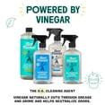 thumbnail image 4 of (4 pack) Aunt Fannie's Extra Strength Cleaning Vinegar, 64 Ounce, Multipurpose Household Cleaner, No Added Scents, Dyes, or Other Additives, 4 of 8