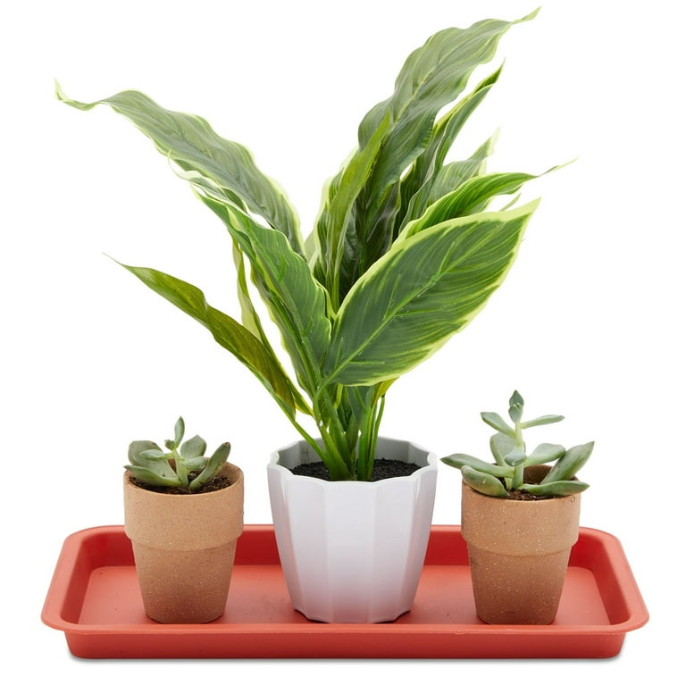 Juvale Rectangular Plant Saucer Drip Trays (12 x 6.5 in, 8 Pack)