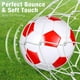 thumbnail image 4 of Juego de balones de fútbol HyDren, 8 unidades, tamaño 4, con bomba de 20 cm, 4 of 4