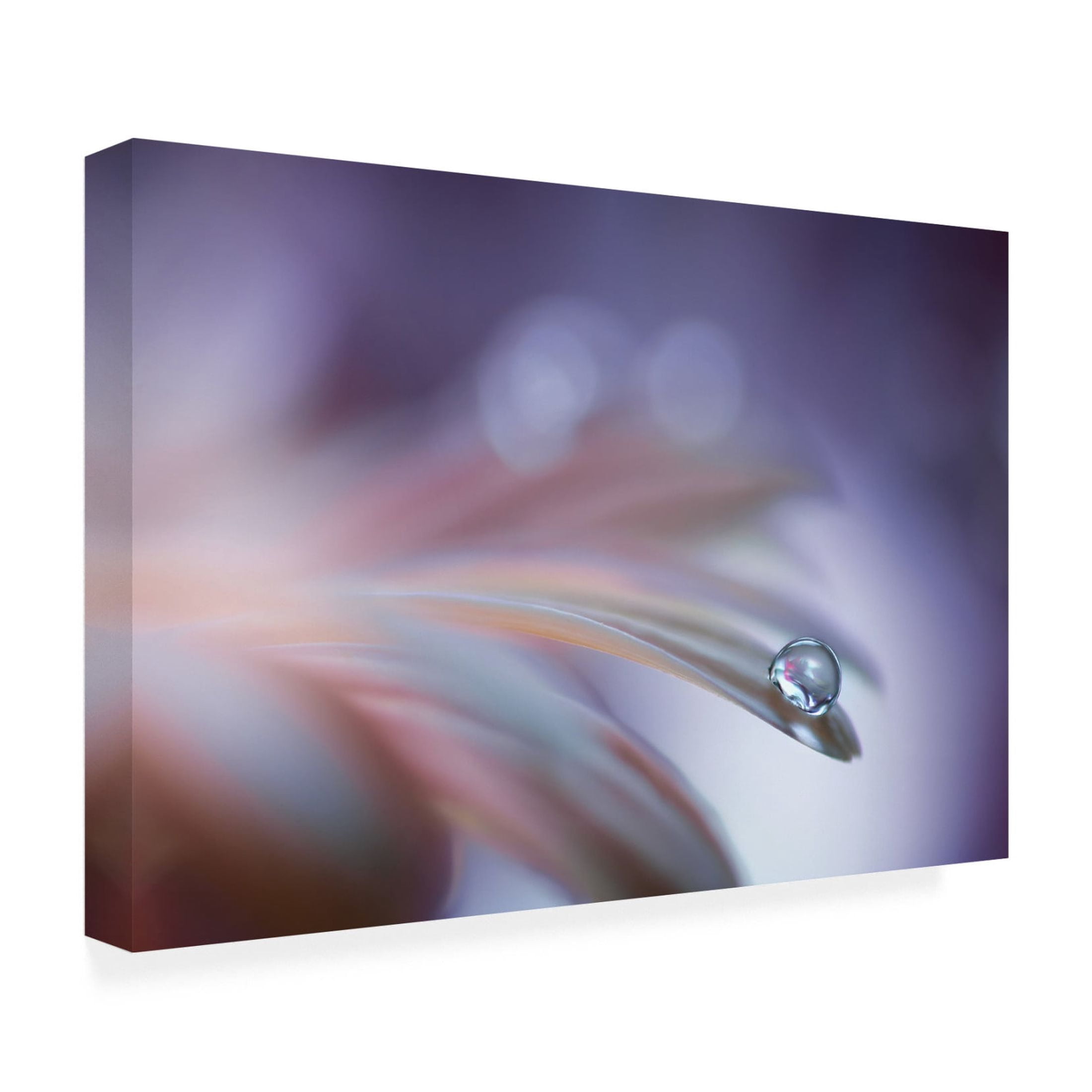 Canvas Wall Art - Rina Barbieri 'Sound Of Soul' Wall Art for Living Room, Bedroom, or Office Décor by Trademark Fine Art - 47 x 30 Inches