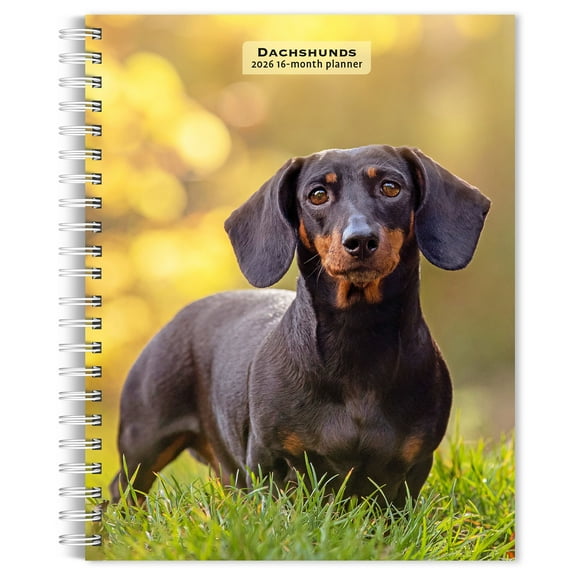 Dachshunds | 2026 6x7.75" Spiral-Bound Weekly Engagement Planner | BrownTrout