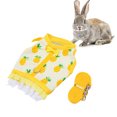 thumbnail image 1 of Harness And Leash Set, Fruit Printing Animal Harness Set Lightweight Dog Vest Harnesses With Adjustable Straps  Vest And Leash Set For Small Pet Outdoor Walking, 1 of 8