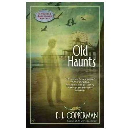 Old Haunts: A Haunted Guesthouse Mystery