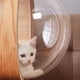 thumbnail image 5 of Cápsula transparente para habitación de gatos, duradera, práctica, transparente, soporte para cama de interior 35cm, 5 of 8
