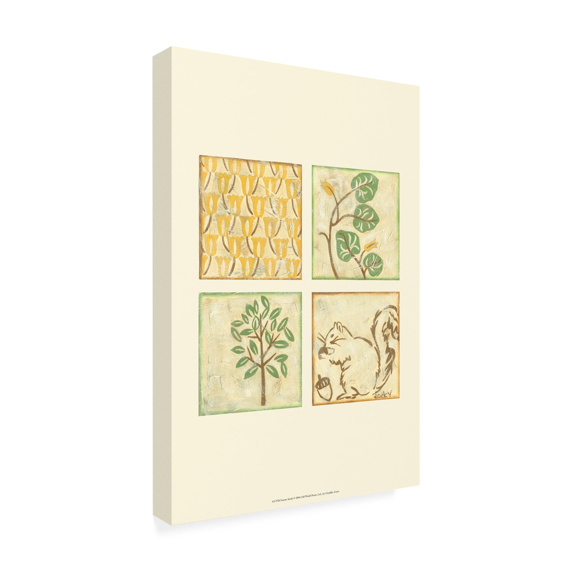 Trademark Fine Art 'Nature Study Childrens Art' Canvas Art by Chariklia Zarris