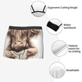 thumbnail image 6 of Balery Relaxed Cute Cow Reading Men's Boxer Briefs, Soft and Breathable Cotton Underwear with nylon Waistband-XX-Large, 6 of 9
