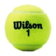 thumbnail image 3 of Pelotas de tenis WILSON Championship - Estuche extra resistente para 24 latas (72 pelotas), 3 of 3