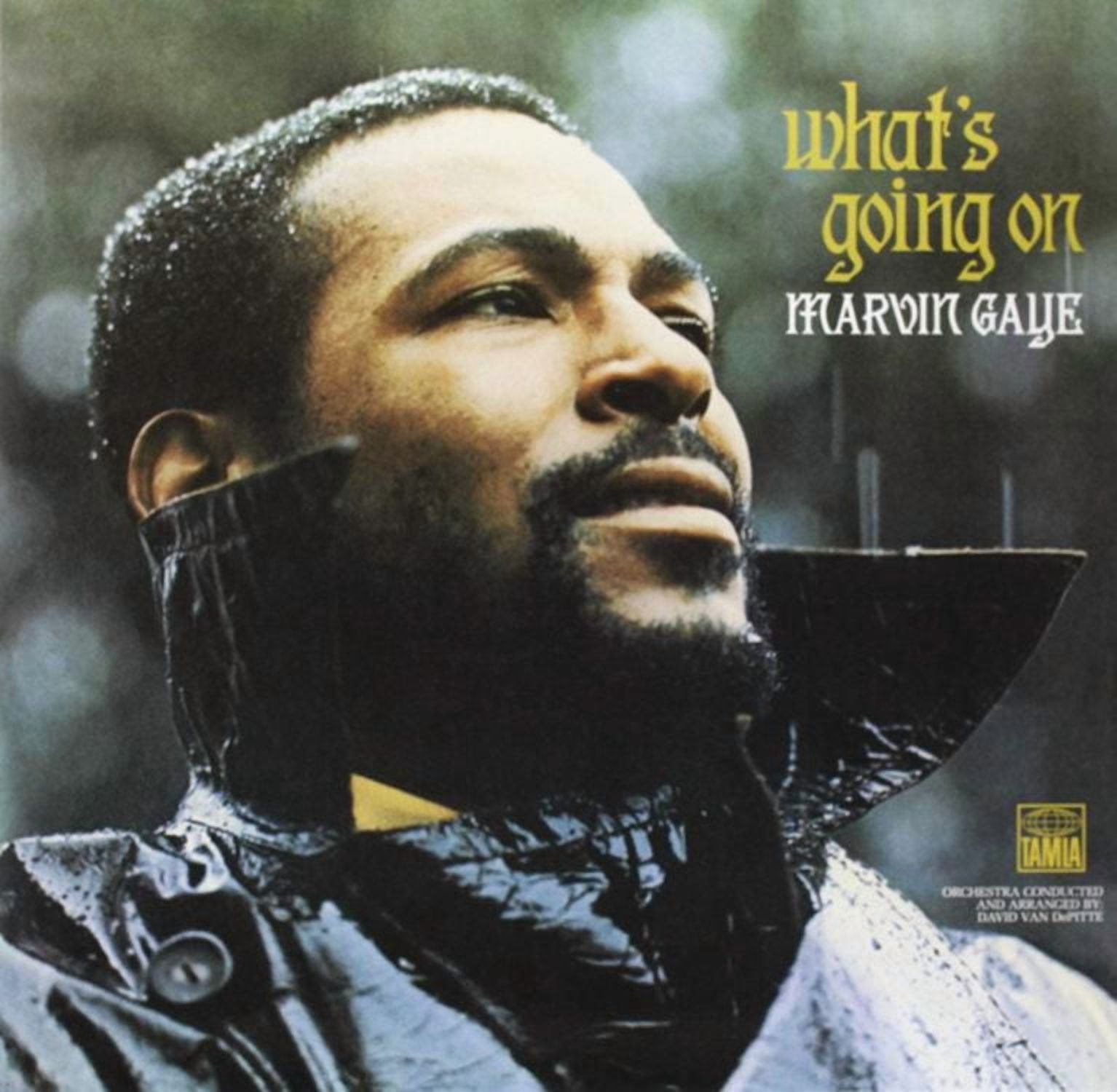 Marvin Gaye - What's Going On (vinyl)