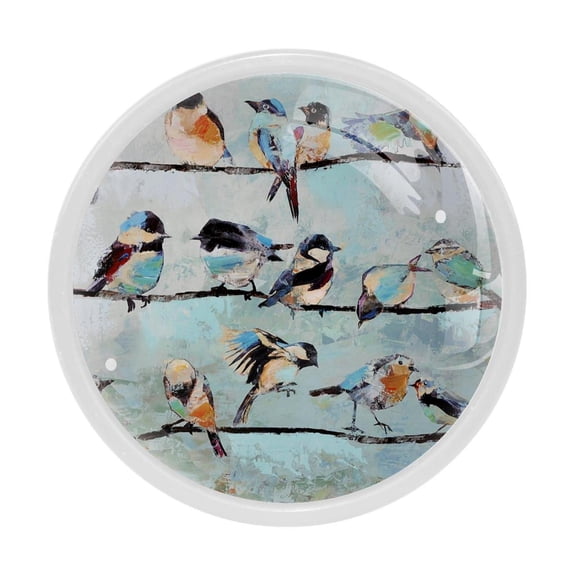 4 Pcs Birds Paintings Knobs for Kitchen Cabinet Cupboard Dresser Bookcase Drawer Pulls Handles Round Home Decor
