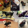 thumbnail image 3 of Suéter para perros, suéter para perros de invierno, suéter para perros, patrón de Navidad, chaqueta de invierno de punto, ropa para mascotas, suéter de moda, regalo para perros, negro Xs Rojo Verde Cocina, Decoración y Otros, 3 of 5