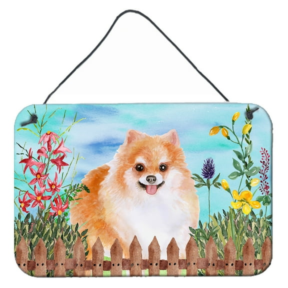 Carolines Treasures CK1278DS812 Pomeranian 2 Spring Wall or Door Hanging Prints  8x12 multicolor