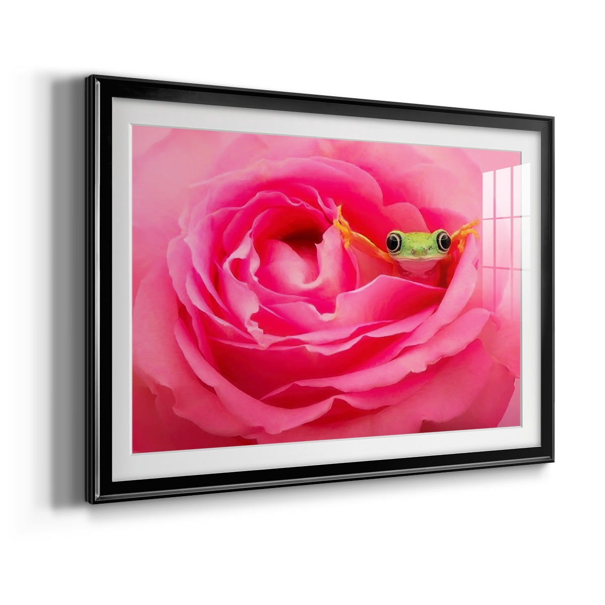 Hanging On VIII Premium Framed Print - Ready to Hang