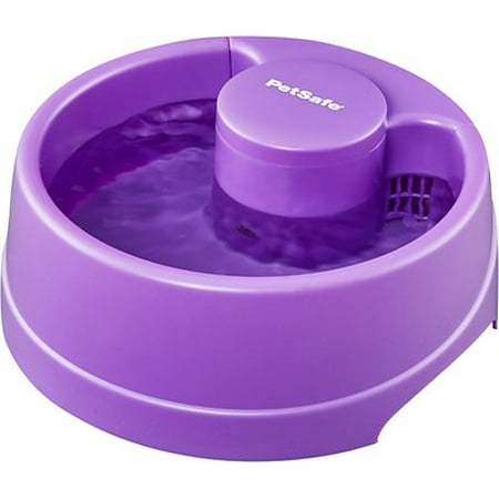 PetSafe Current Circulating Dog and Cat Water Fountain, Small, Purple, 40 (Best Small Water Dogs)
