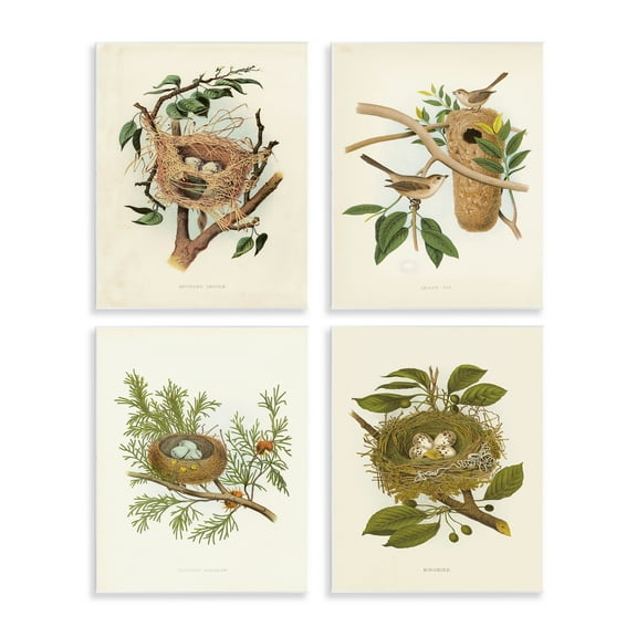 Stupell Industries Bird Nest Forest Studies Plants & Flowers Painting Unframed Art Print Wall Art, 11 x 14, Set of 4