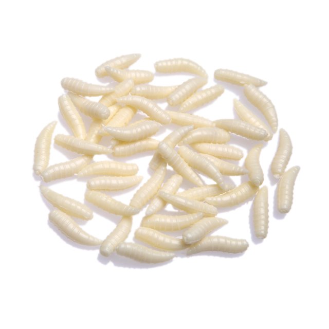 Lixada Señuelo de Pesca Gusano Cebo Suave 50Pcs 1.6cm (Blanco) Lixada Aparejo de pescar
