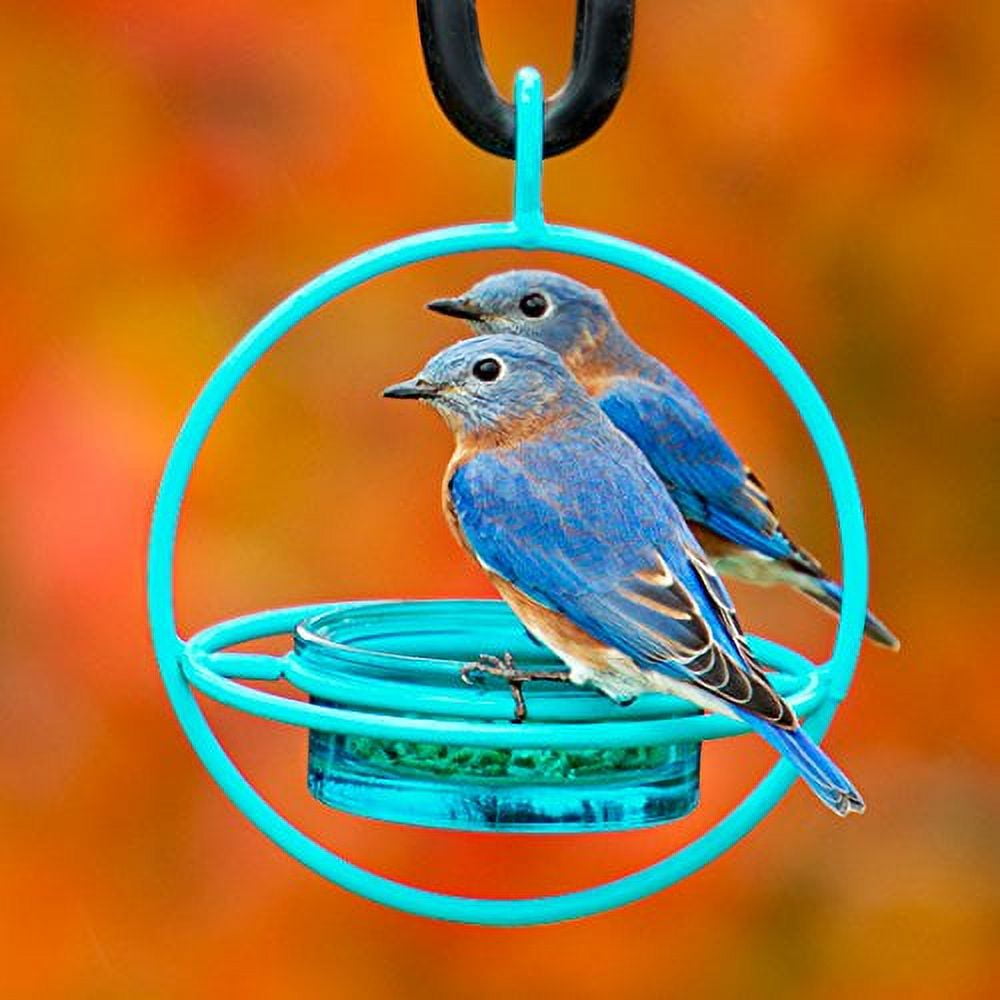 Mosaic Birds Hummble Bold Hanging Bird Feeder for Outdoors, Oriole, Finch Wild Bird Feeders - Aqua Blue