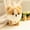 Corgi, variant on Fashion Puppy Doll Plush Toy