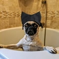 thumbnail image 5 of WIFKLSIIPG Bonnet de Bain pour Chats Réutilisable avec Capuche pour Douche, Natation et Toilettage, 5 of 5