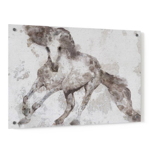 Epic Art 'Alydar Horse' by Irena Orlov, Acrylic Glass Wall Art, 36"x24"