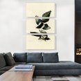 thumbnail image 2 of ARTCANVAS American Magpie Canvas Art Print by John James Audubon - Size: 60" x 40" (0.75" Deep) (3-Piece), 2 of 9