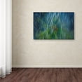 thumbnail image 2 of Paulo Abrantes 'Electro Shock Blues' Canvas Art, 2 of 4