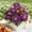 Purple, variant on Artificial Peony Bouquet with Berries – 10-Head Silk Flower Arrangement for Wedding, Home Decor & Altar Display, Festive Faux Floral Centerpiece