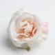 thumbnail image 4 of Set de 20pcs de Simulación Rosa Yuyangstore Cabeza de Flor Champán Claro Cabezales de flores artificiales, 4 of 8