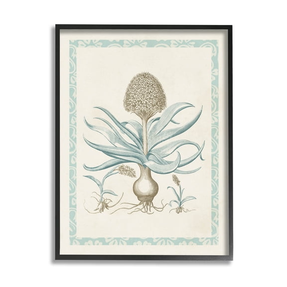 Stupell Industries Botanical Latin Study Plant Graphic Art Black Framed Art Print Wall Art, Design by Vision Studio