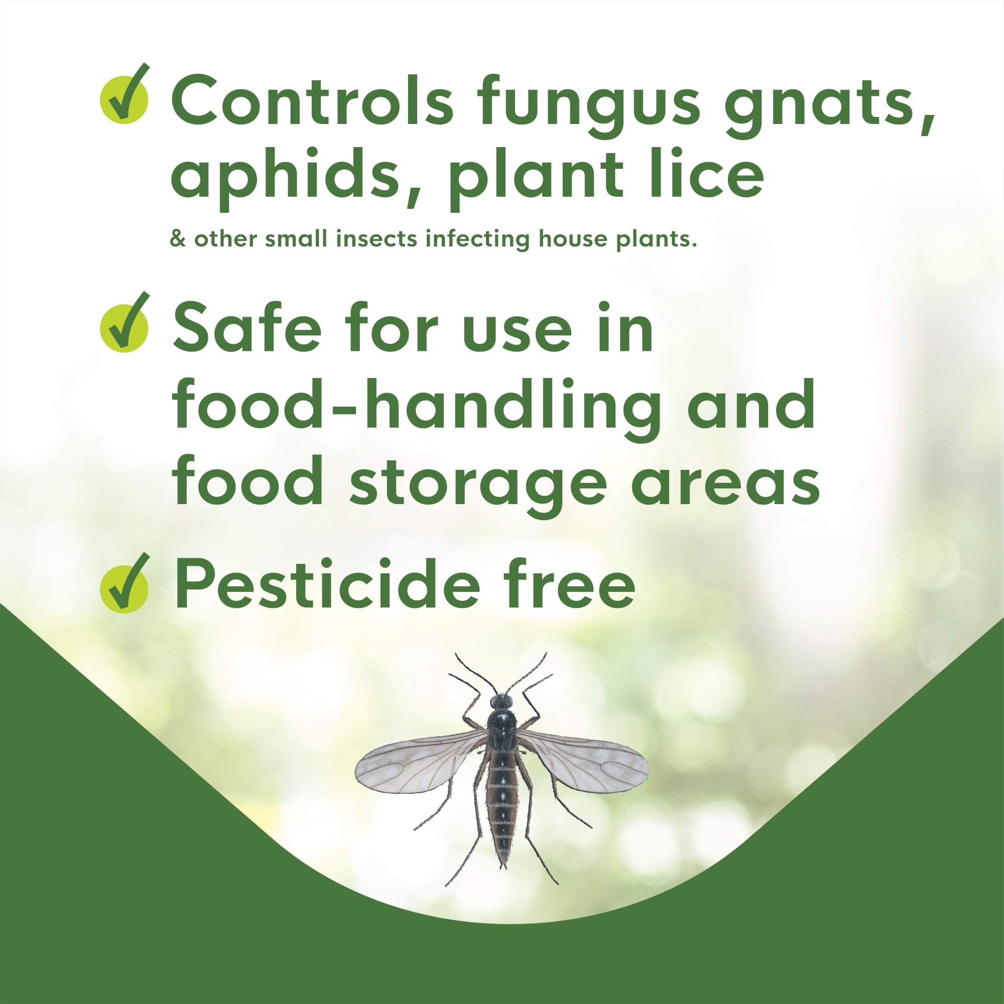 Enoz BioCare Gnat Stix Traps for Fungus Gnats and Aphids, Pesticide-Free Glue Traps, 36 Count