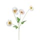 thumbnail image 1 of Flores falsas Arreglo floral de margarita pequeña Decoración de boda Flor Gesang Boda Simulación del hogar Amapolas Simulación de amapolas Flores-Amapolas de tela de seda blanca, 1 of 14