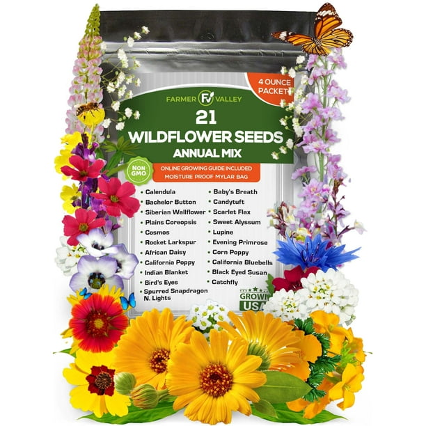 Annual Wildflower Seeds Mix to Attract Pollinators, Butterflies, and ...