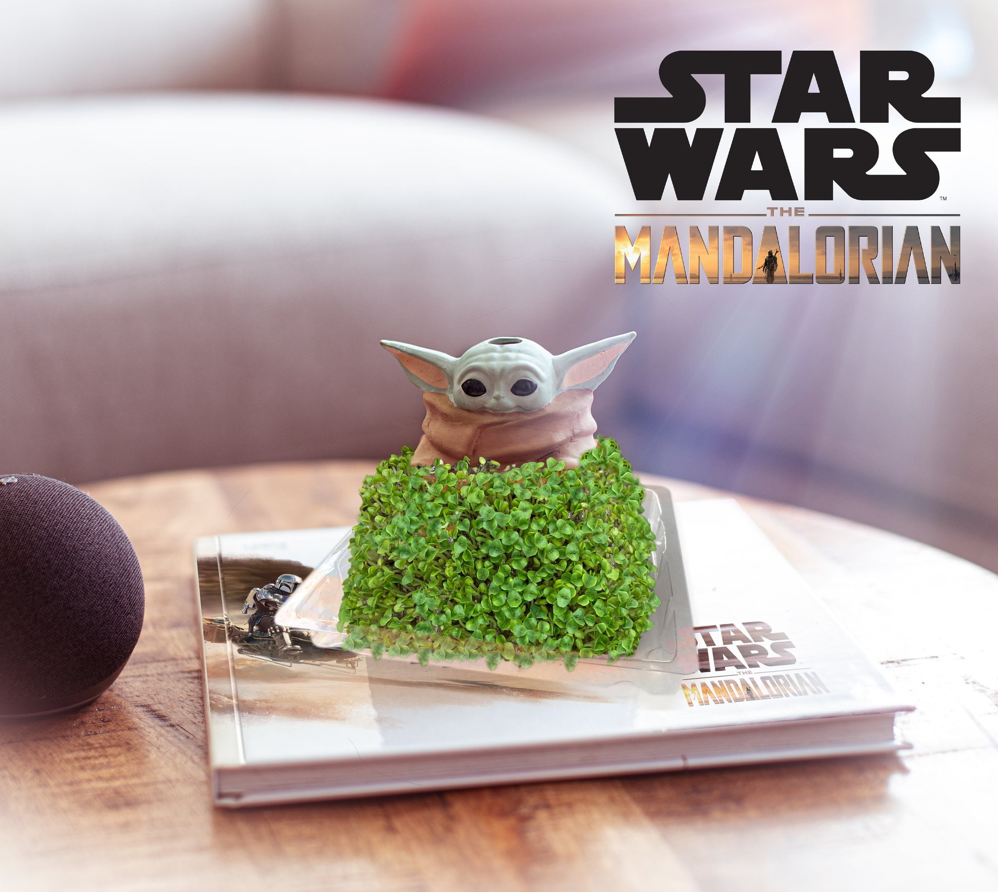 Baby Yoda Chia Pet Available For Preorder! MORE New Star Wars Merchandise  - Inside the Magic