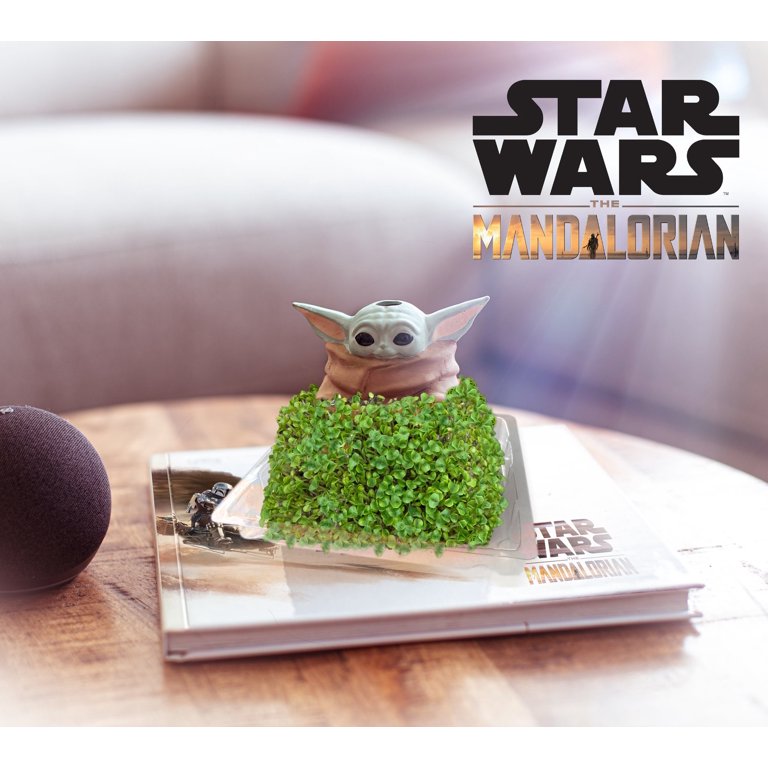 Experience the joy of being a plant Mom or Dad with our Star Wars The Child  Chia Pet! Available at your favorite retailer or Chia.com! 🎥: …