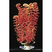 Penn Plax P18MR Red Neon Ambulia Plant - Medium