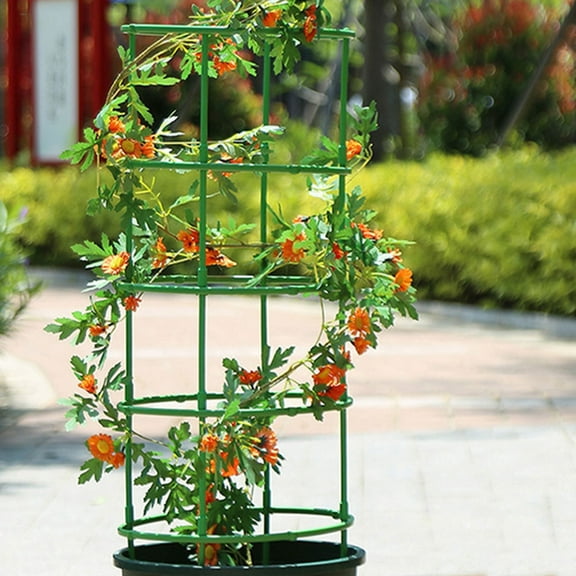 Worgeous 1 Set of Garden Plant Supports for Indoor Tomato Cages Pots Potted Plants Flower Support Cage Climbing Frame Yard Tomatoes Cages