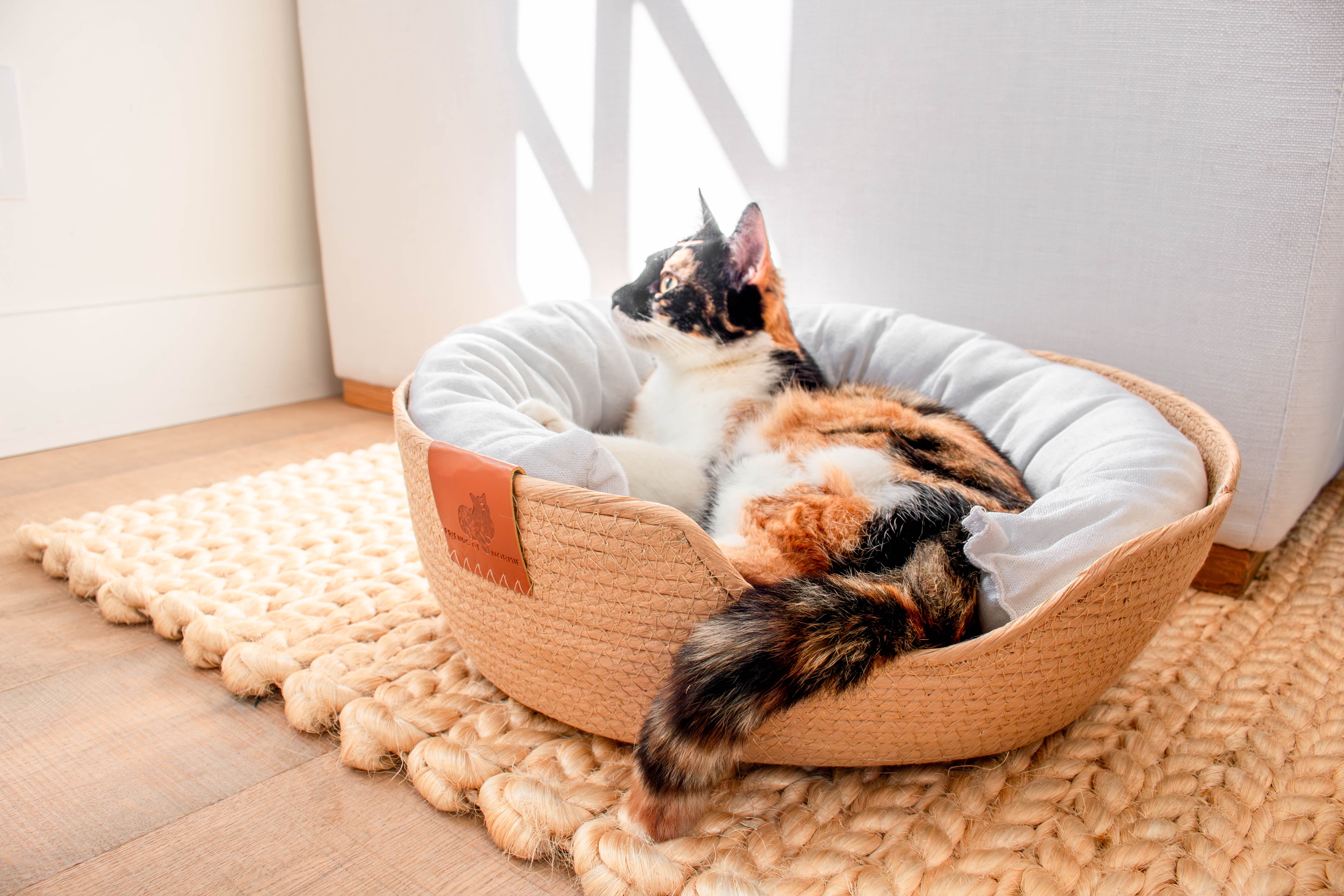 Friends of Normie Wicker Cat Bed (3 Pieces)