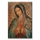 thumbnail image 1 of Cuadro Canvas Pixtreats Virgen de Guadalupe 60X90 cm, 1 of 4