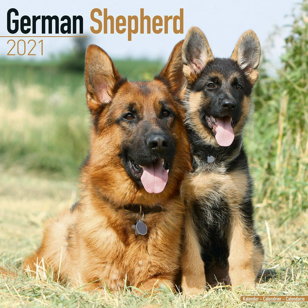 German Shepherd Calendar - Printable Calendar