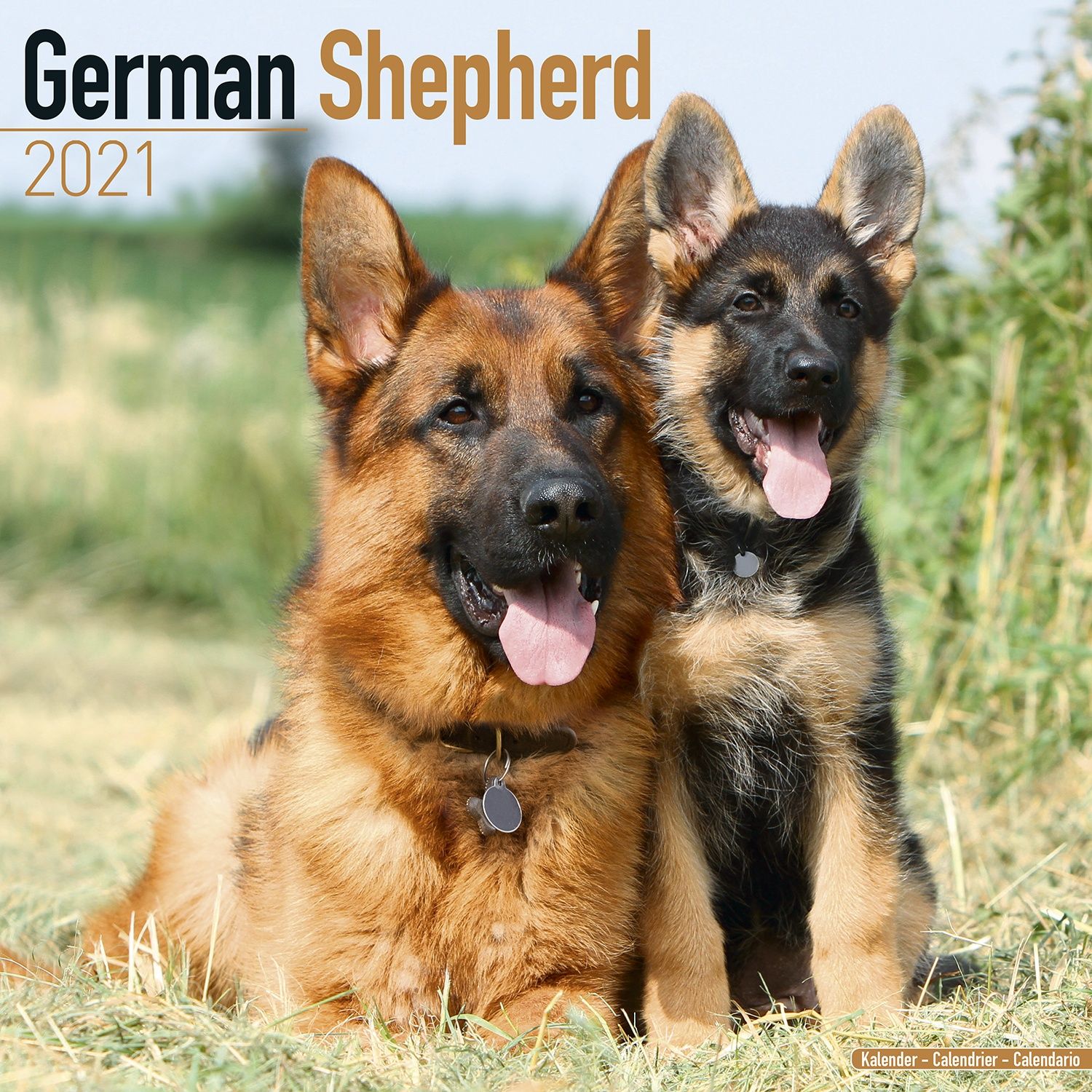 German Shepherd Calendar 2021 German Shepherd Dog Breed Calendar German Shepherd Calendar 2021 German Shepherd Dog Breed Calendar