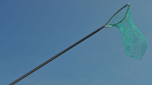 Lee Fisher Crab Net 60" Aluminum Handle 13"X11" Hoop TT-LNJF-09