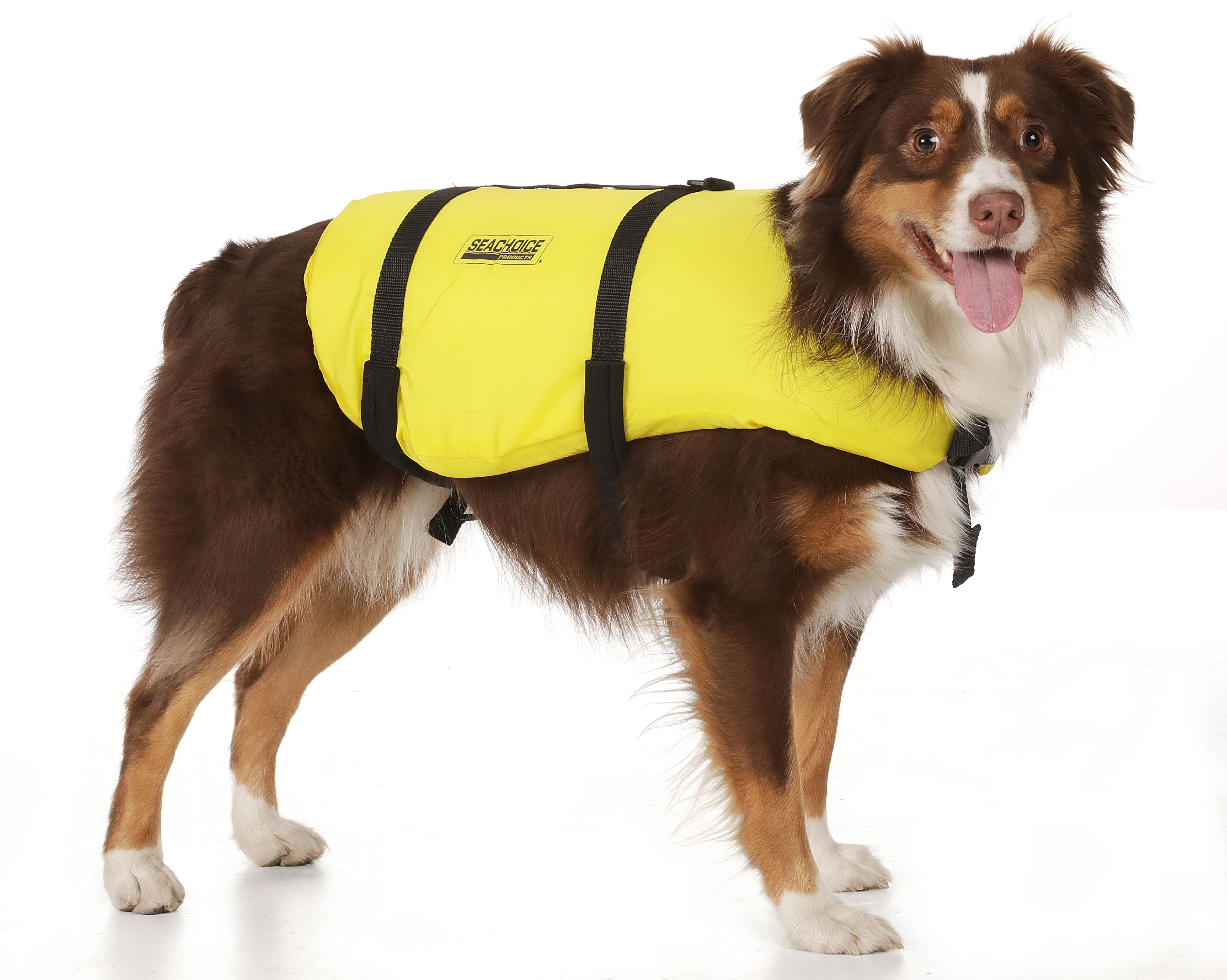 dog life jacket yellow