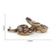 thumbnail image 3 of Juguete modelo de serpiente, ciencia, educativo, figuras de acción, juguete aterrador para fiestas. gris, 3 of 8