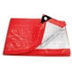 thumbnail image 1 of Lona Roja 4 X 5 Mt Pretul 23766, 1 of 2