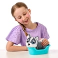 thumbnail image 2 of Peluche interactivo Little Live Pets Mini Aurora Husky, 2 of 8