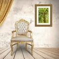 thumbnail image 3 of Majchrowicz, Alan 23x32 Gold Ornate Wood Framed with Double Matting Museum Art Print Titled - Big Leaf Maple Trees IV, 3 of 4