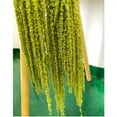 thumbnail image 3 of Triani 5Pcs Natural Dye Light Green 16-28 Inch Real Amaranthus Hanging Dried Floral Garland for Home Decor Wedding Bouquet Home Wall Decor(Light Green), 3 of 6