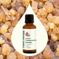 thumbnail image 3 of Plant Therapy USDA Certified Organic Frankincense Serrata Essential Oil 100% Pure, Undiluted, for Diffuser and Discomfort, Therapeutic Grade 30 ml (1 oz), 3 of 7