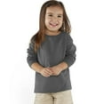 thumbnail image 2 of RABBIT SKINS Toddler 100% Cotton Fine Jersey Long Sleeve Tee, Charcoal, 2T, 2 of 2
