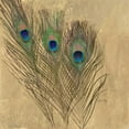 thumbnail image 2 of Fisk, Arnie 20x20 White Modern Wood Framed Museum Art Print Titled - Golden Peacock Feathers, 2 of 4